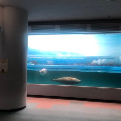 NOT_OMUSUBI's profile picture. 