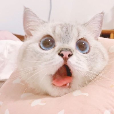 💖