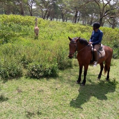 AllanWJames's profile picture. BEc, CPA, Blogger, Liberal minded, History enthusiast,
Explorer by heart, a huge space nerd & a self proclaimed Millenial.