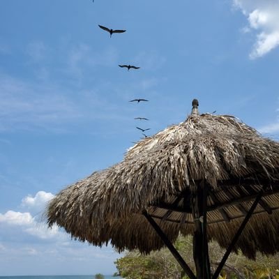 sienna060's profile picture. 