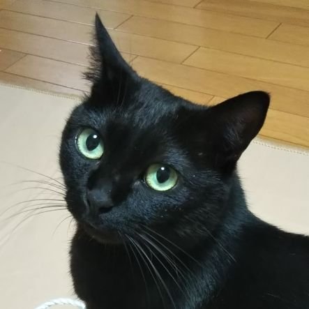 好きなものは好きだし嫌いなものは嫌い✧*。思ったことを書いています✧*。必要なのはプラスのエネルギーのみ✧*。褒められて伸びるタイプです✧*。楽しくやりましょ❤️