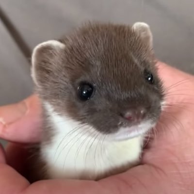 숭미션さんのプロフィール画像
