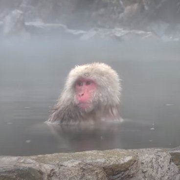 お風呂用垢 良客になるべく日々リサーチしています。
大宮北銀中心に平日19:30～21:30 がターゲット
吉原は頑張れば　(後川崎は年に数回用事があって行く程度)
セクシーなコスプレが好物な元オタクです。