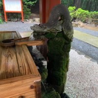 ロン2 (@ls19fcakeps2im5) 's Twitter Profile