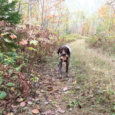 Proud member of: Rocky Mountain Elk Foundation, Ruffed Grouse Society, Pheasants Forever & Backcountry Hunter and Anglers