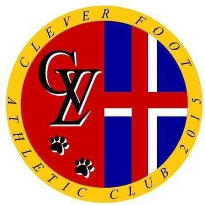 cleverfoot2015 Profile Picture
