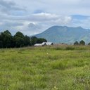 Walter Matute - @WalterM50779514 - Twitter