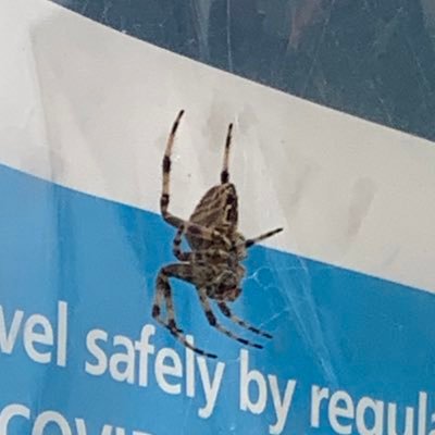 nksjenshdj's profile picture. 