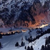 Alexander Poisel (@toadflax) 's Twitter Profile