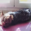 Emily cadena - @Emilycadena13 - Twitter