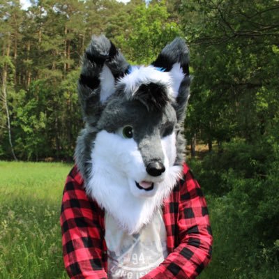 male | gay | single | future educator | 24 | german | speaks 🇩🇪🇺🇸🇬🇧 | fursuiter