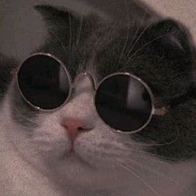 Ninjamaster6911's profile picture. 