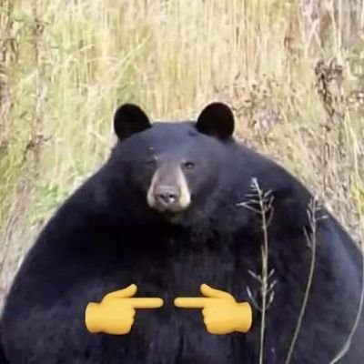 👾さんのプロフィール画像