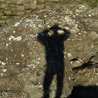 George Mimnagh (@mimnaghg) 's Twitter Profile Photo