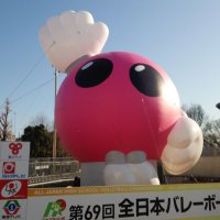 yokko🐏🌻 (@yokko0018738) 's Twitter Profile