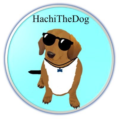 HachiTheDog_0fi's profile picture. Sigueme en Instagram como hachithedog0ficial y en Tik Tok como hachithedog0