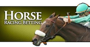 TradingMan1's profile picture. Betfair Trader and Layer of horses