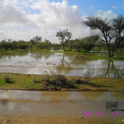 oeldl's profile picture. 