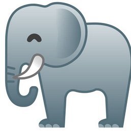 ElephaantEar's profile picture. 