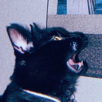 xfuturefunkx's profile picture. Stupid Ass Bitch

please be patient i have autism