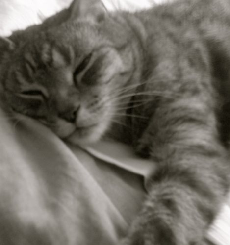 JaneBridge01's profile picture. 