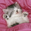 Alyssa Quinn - @AlyssaQuinn - Twitter