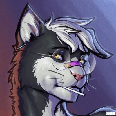 fepelipeさんのプロフィール画像