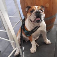 Francesco🇮🇹®️ (@frances10067076) 's Twitter Profile