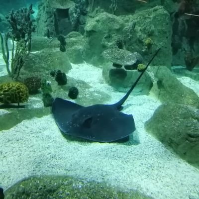 Sonerercan97's profile picture. 