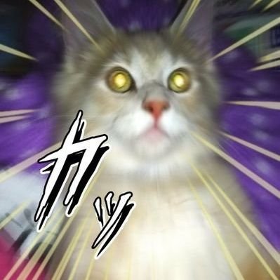 絵描いたり装飾品作ったり石を愛でたりイベント主催したりスタッフやったり空き缶(アルミに限る)千切る人。2017.7.25 人生最初で最後、鳥のウン〇が脳天直撃、クリティカルヒット(´;ω;`)2024.5.12飲食店のトイレに閉じ込められる12.27水道管破裂で半身に冷水浴びる(NEW)