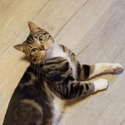 weechieさんのプロフィール画像