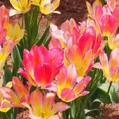 ta3gg21's profile picture. なんか不安な世の中。良いことないかな〜と適当に生きてます。