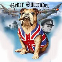 paultarr1@gmail.com (@paultarr1gmail1) Twitter profile photo