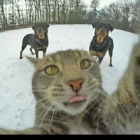 Gizeminiz (@ulan_gizem) Twitter profile photo