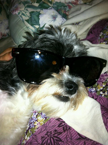 DavidReichard's profile picture. 