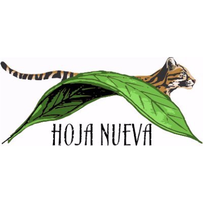 hojanueva's profile picture. Wildlife Research 🐯 Rehab & Release 🌿 Confronting deforestation and defaunation in Peru 🐾 More active on Instagram: @hojanueva