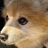Big (@big2166) 's Twitter Profile