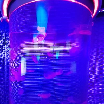 GH0STBE3's profile picture. 