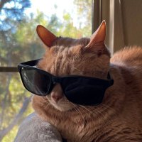 Jessassin (@jessassin) 's Twitter Profile