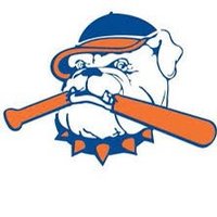 Motor City Hit Dogs - 17U Dishman (@hitdogs17u) 's Twitter Profile