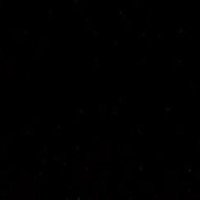 aussieitalianstallion (@aussieitalians6) 's Twitter Profile