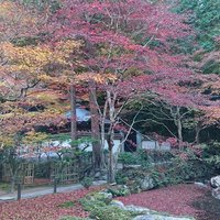 そうか、そうだったんだ (@nightnitro2410) 's Twitter Profile Photo