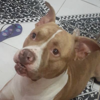 luzianenx's profile picture. Você vai me olhar, me julgar, tirar conclusões precipitadas, mas ainda assim não vai me conhecer.♪ Eminem ♪