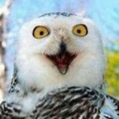 tsuru_hi's profile picture. 