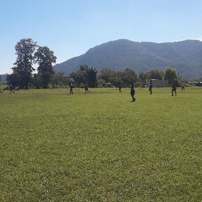 JorgeCi28006111's profile picture. 