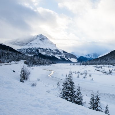 kkaronk's profile picture. developer