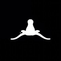 Does Texas Suck Today? (@texassucksdaily) 's Twitter Profile Photo