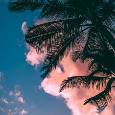 liubei05034771's profile picture. yeah