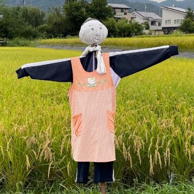 YunNK8's profile picture. 東京・下町育ちの田舎民。お金ないけど、美味しいものが食べれて、穏やかな日常を積み重ねていけたらいい。