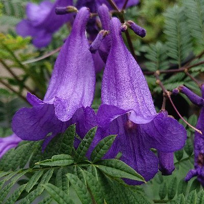 KennySpacetime's profile picture. VTuber （ Virtual YouTuber ） になりたい！
🌌リンクまとめ：https://t.co/NvhfPF1V2k
VRChat Display Name：Nero-S